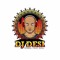 Dj Desi-Next Level Ent