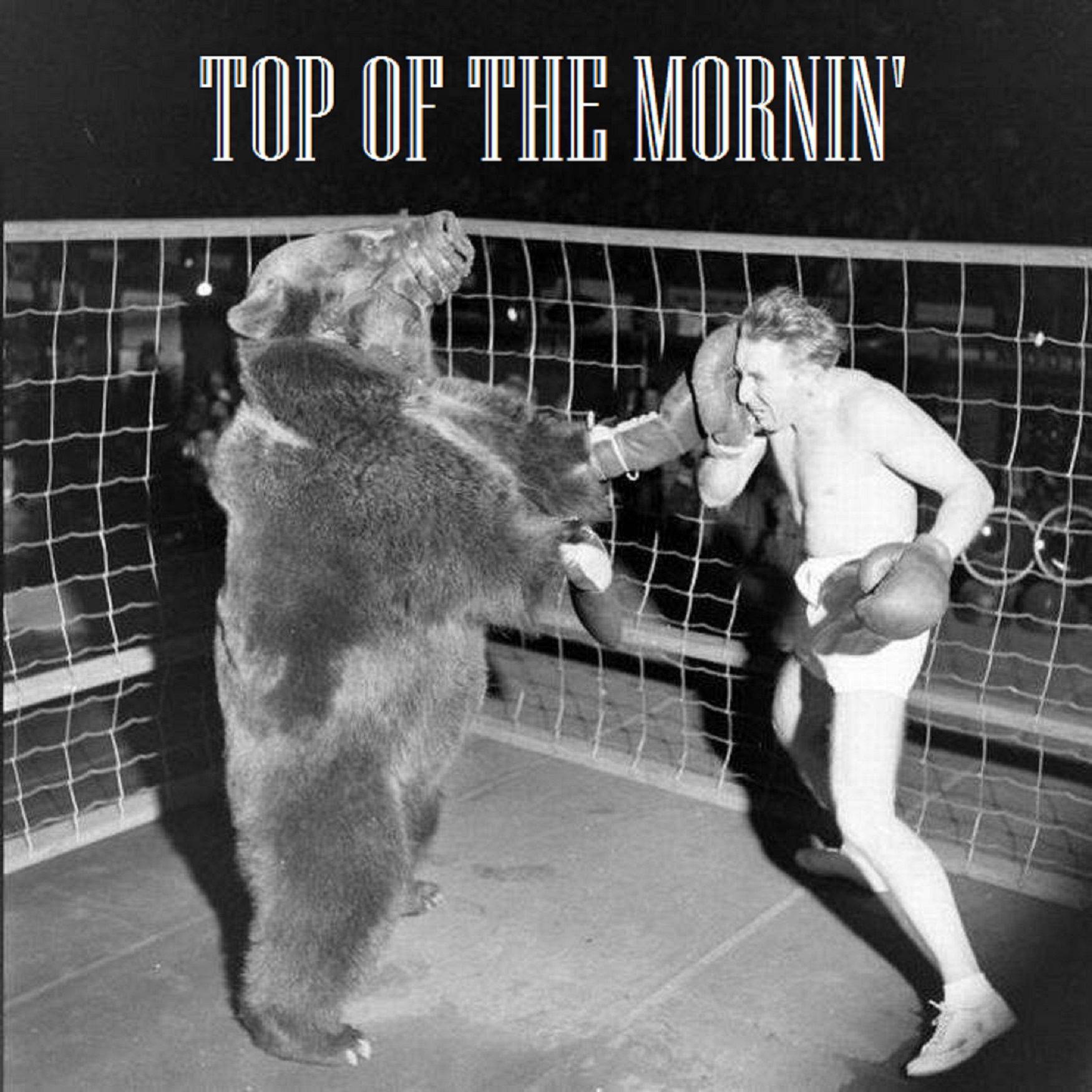 Top of the Mornin'