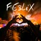FE3LiX