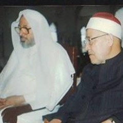 احمد لطفي