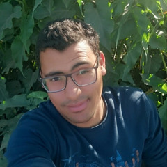 Samir Abd el razek