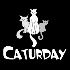 Caturday Crew