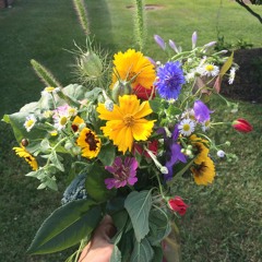 Genuinely Julie Lohr