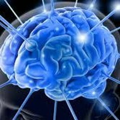 PUTINHOS PUNHETEIROS