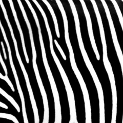Tribe Stripes