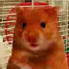 Jay John-Baptiste Henry