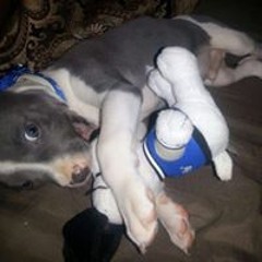 Chris Granger-kelley