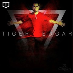 TIGEREDGAR