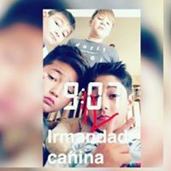 lan e mcs