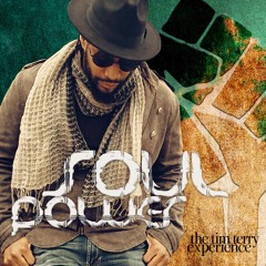 thetimterryexperience