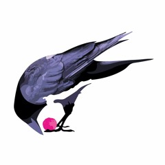 Empress Crow and Rabbit