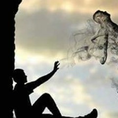 حمدى الاصيل