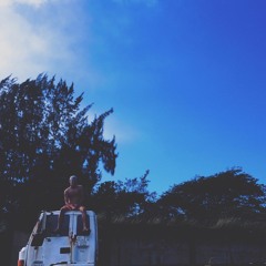 Devin.alb