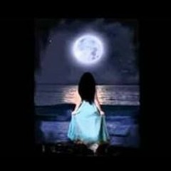 كرنفالا فوكس