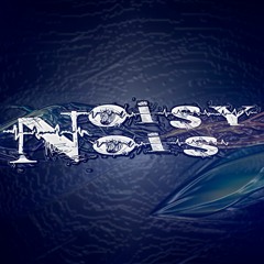 Noisy Nois