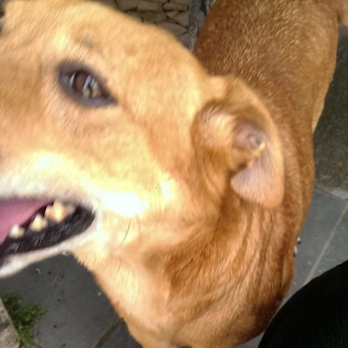 vashkar - carla bley