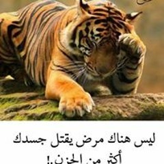 شريف مصطفي ابواليل