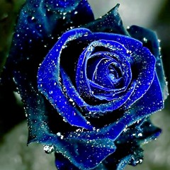 RoseChove