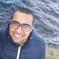 Ahmed Medhat Oraby