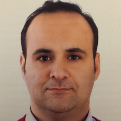hesamoddin M. koulaiaan