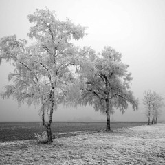 Ruben Tomas Brinckmann