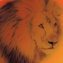 SÜMETRIX Swiss Reggae Music