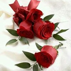 احاسيس العالم