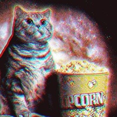 Cat Illuminati Official