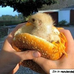 BOOSDOENER