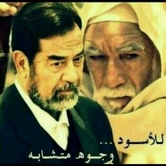Abody Bafadel