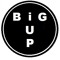 BIGUP2BRUSSELS
