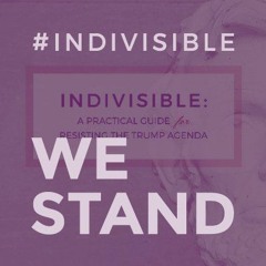 Indivisible Team