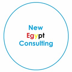 New Egypt Consulting