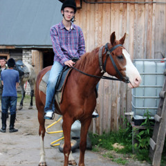 Александр Прокофьев