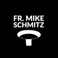 The Fr. Mike Schmitz Podcast