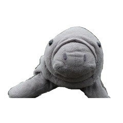 Warship Manatee