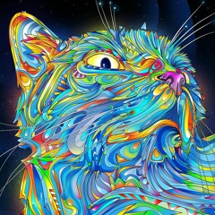 Robin van Binsbergen