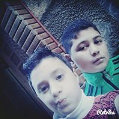 حلمى النشار
