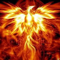 Phoenix-Resurrected