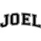 mg fvl joel