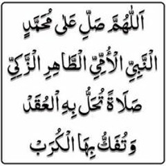 حسين ابو كامل