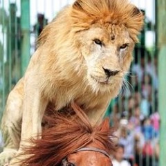 Wanted Dead Or Alive Cover