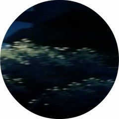 BluntsLitIntheMoonlight