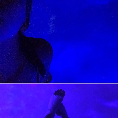 Stream Autumn Riggan music | Listen to songs, albums, playlists for ...