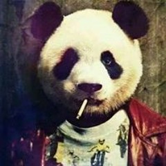 Ecko Fathe