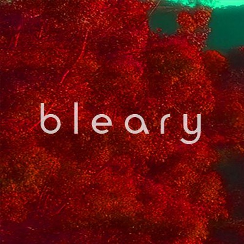 bleary’s avatar