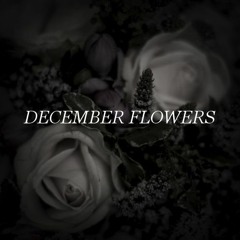 December Flowers