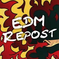 EDM Repost Channel