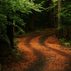 Foster Johnson (FJ36)