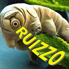 Ruizzoid Support